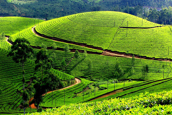 Kerala Packages