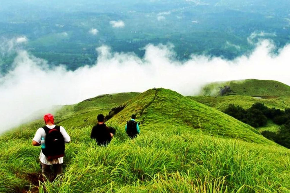 Wayanad